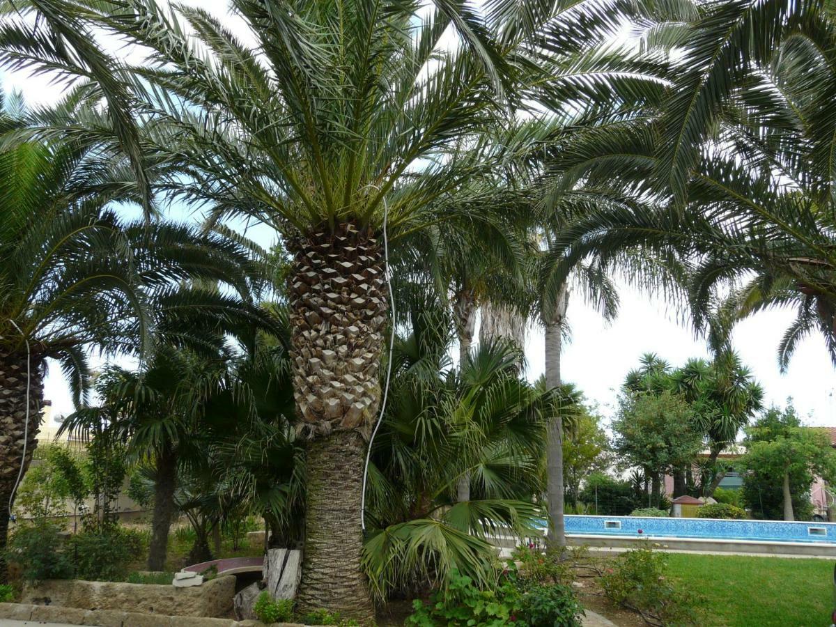 Villa Yucca Авола Экстерьер фото