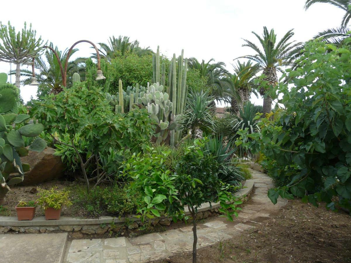 Villa Yucca Авола Экстерьер фото
