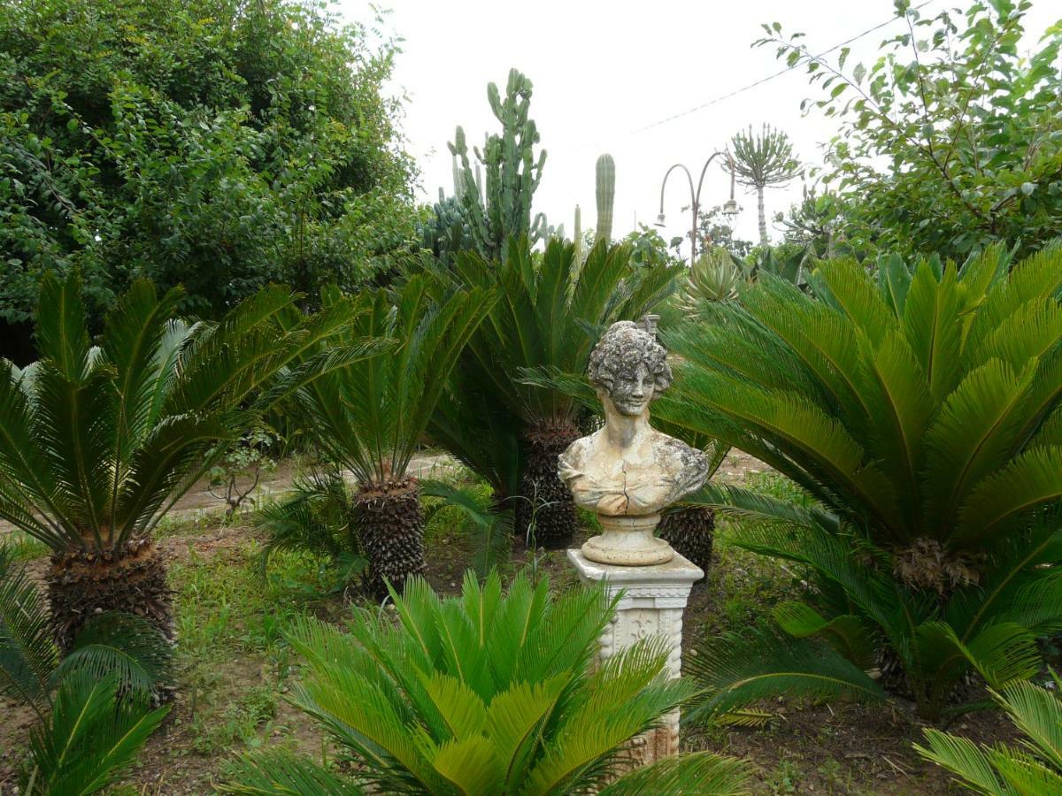 Villa Yucca Авола Экстерьер фото