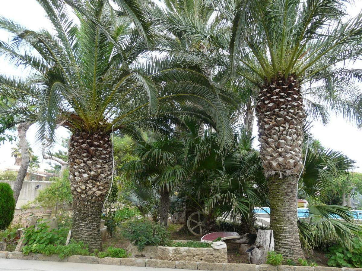 Villa Yucca Авола Экстерьер фото