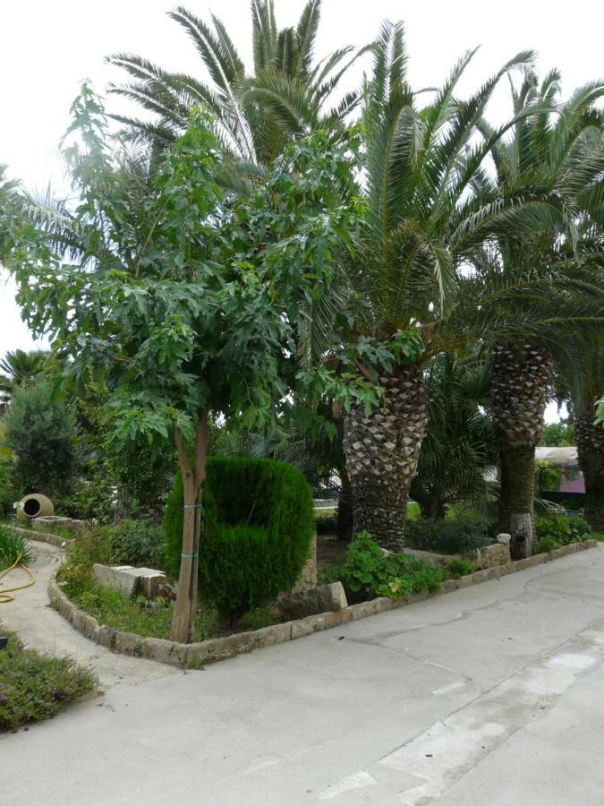 Villa Yucca Авола Экстерьер фото